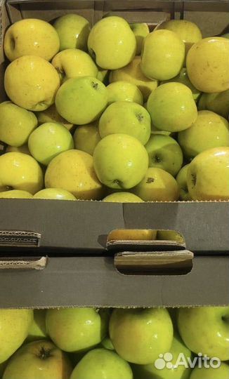 Яблоки оптом