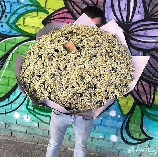 Букеты ромашек