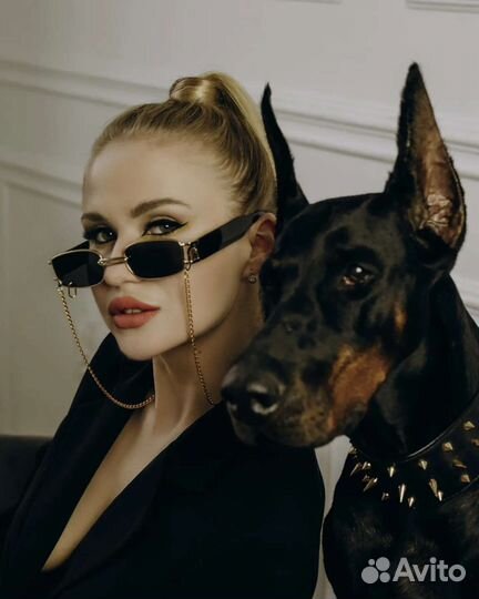 Доберман для фотосессий. Фотосессия с доберманом