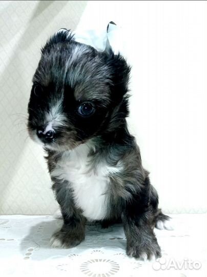 Ну очень красивый мальчик