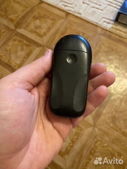 Motorola C113