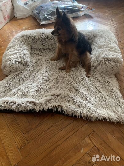 Лежанка для животных