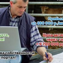 Инвестиции в сельхоз бизнес Горно-Алтайск, Горно-Алтайск