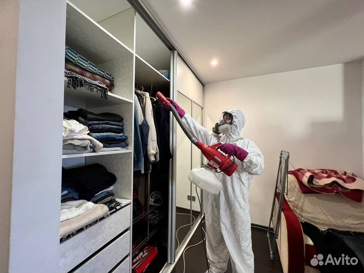 Уничтожение тараканов, клопов. Дезинфекция