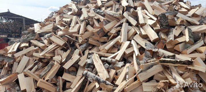 Дрова береза