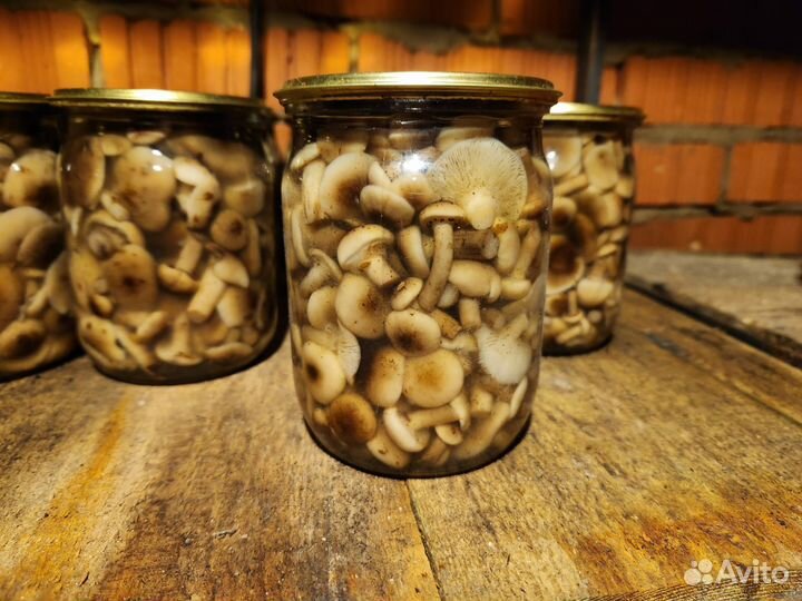 Опята маринованные