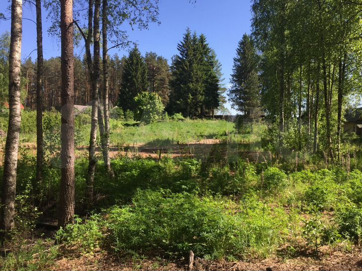 Участок 44 сот. (ИЖС)