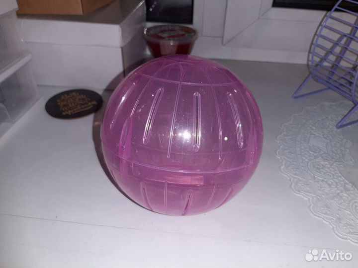 Прогулочный шар для грызунов