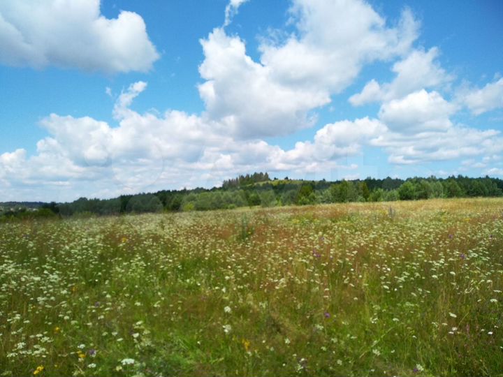 Участок 2 га (СНТ, ДНП)