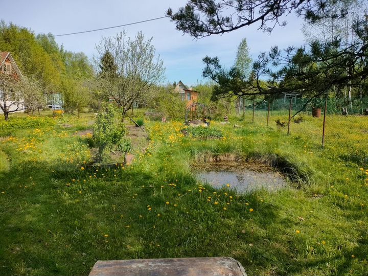 Участок 14 сот. (СНТ, ДНП)