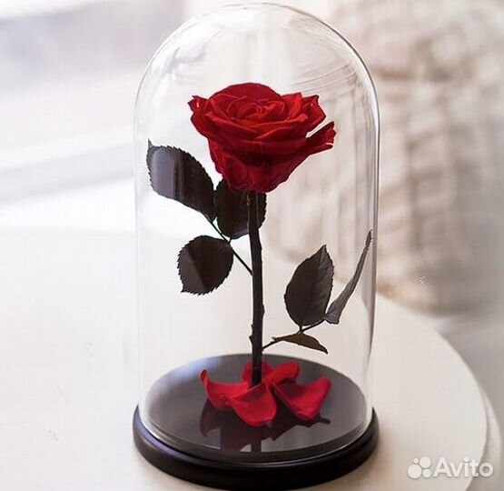 Розы в колбе