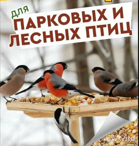 Корм для диких птиц