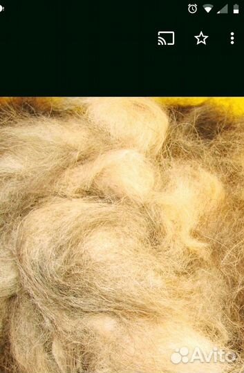 Собачья шерсть и изделия из неё