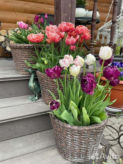 Кашпо из ротанга