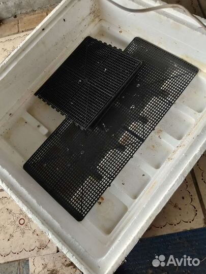 Инкубатор для яиц бу