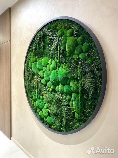 Стабилизированный мох.Озеленение. Ягель.Фитостена