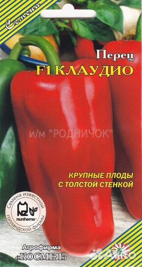 Рассада помидор и перцев и цветов