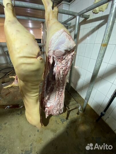 Мясо свинина