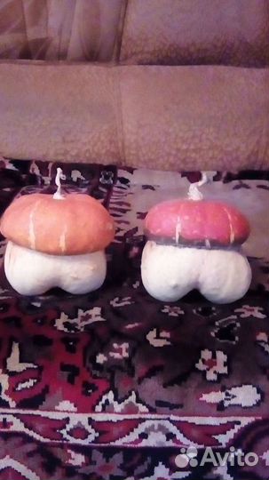 Семена цветов вьюн садовый или декоративная тыква