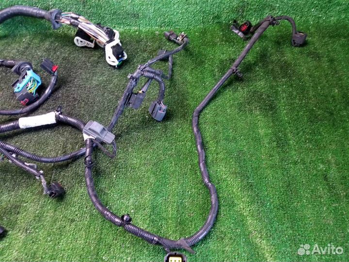 Проводка (коса) Ford Focus 2 (2005-2011)