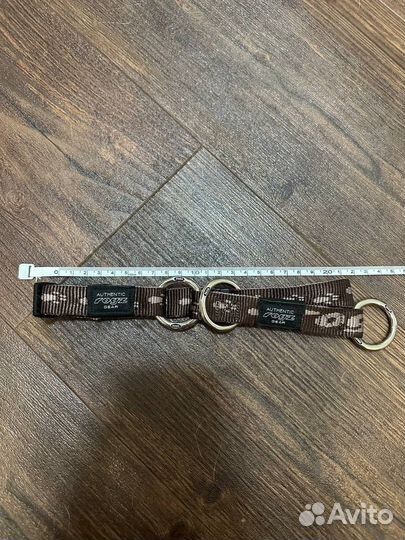 Ошейник полуудавка rogz gear