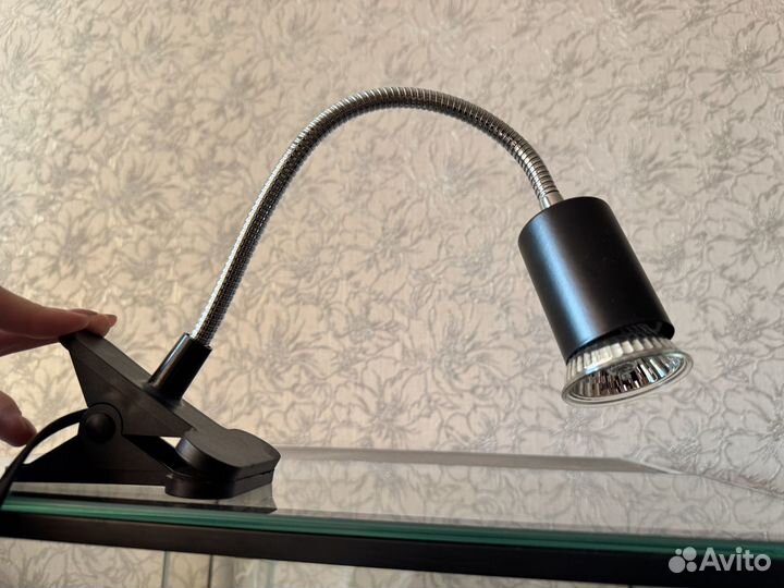 Террариум с эублефаром