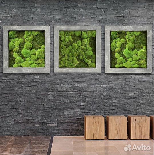 Композиция из мха 60 см