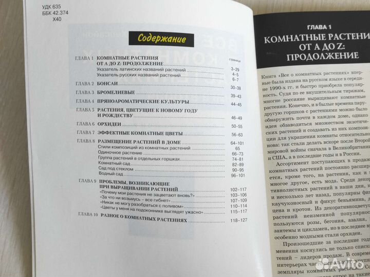 Хессайон Все о комнатных растениях