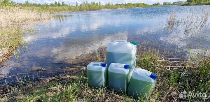 Хлорелла для пруда и водоемов