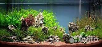 Обслуживание/чистка аквариумов