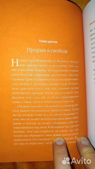 Экхарт Толле. Новая Земля