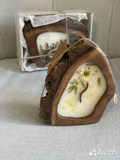 Лесные свечи в дереве