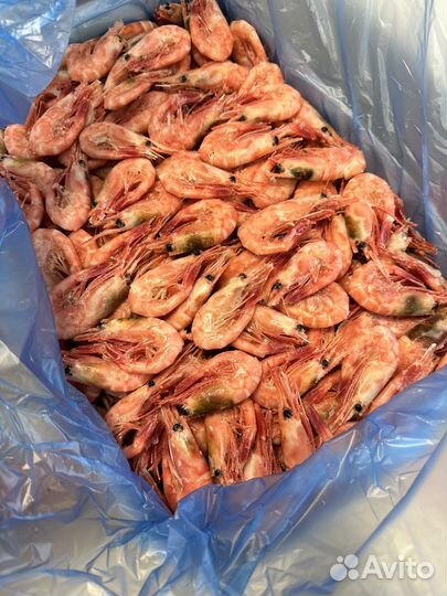 Креветка магаданская