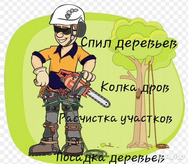 Клен,дуб,береза,акация,маньчжурский и лесной орех