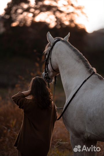 Фотосессии с лошадьми спб