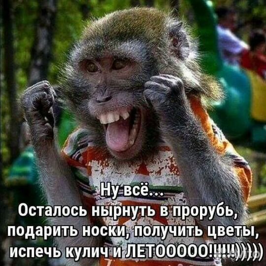 Разработка сайтиков, сайтов, сайтищ+SEO