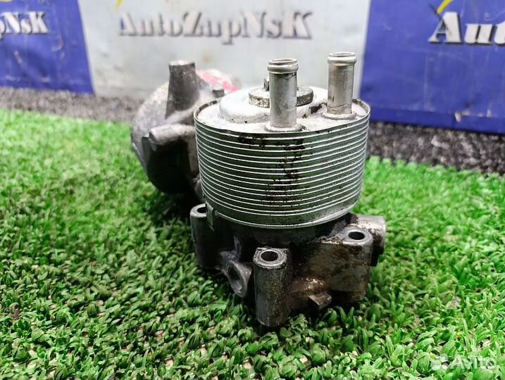 Радиатор масленный Nissan Pathfinder