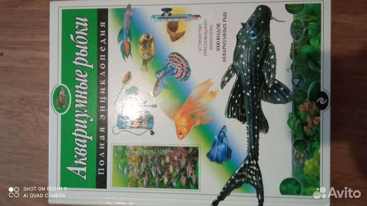 Книга Энциклопедия: Аквариумные рыбки