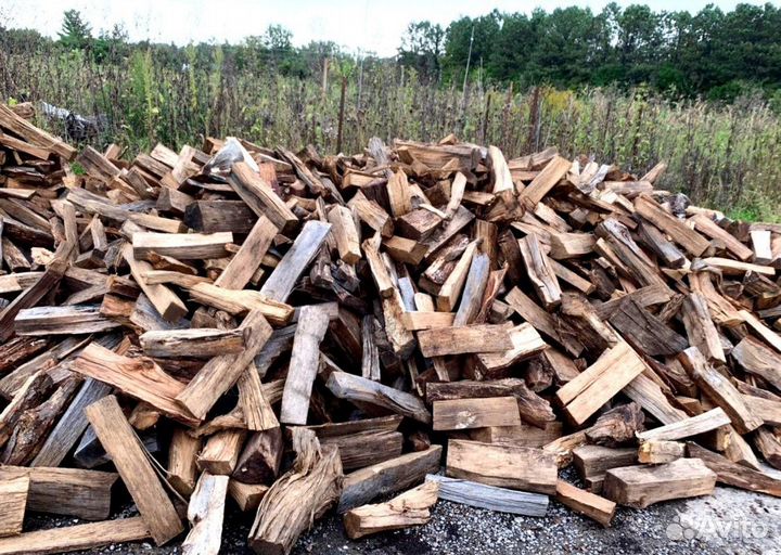 Дрова осина