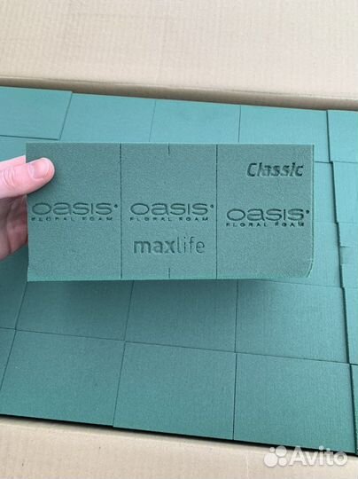 Флористический оазис Oasis