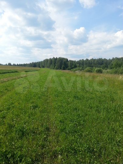 Участок 22 сот. (СНТ, ДНП)