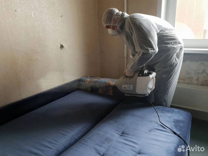 Уничтожение тараканов клопов. Дезинсекция