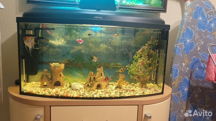 Аквариум