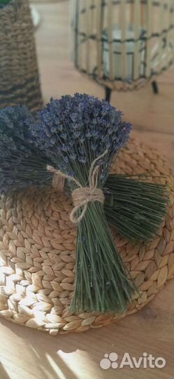 Лаванда сухоцвет