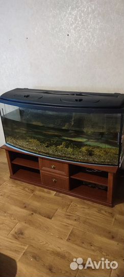 Аквариум 429 литров