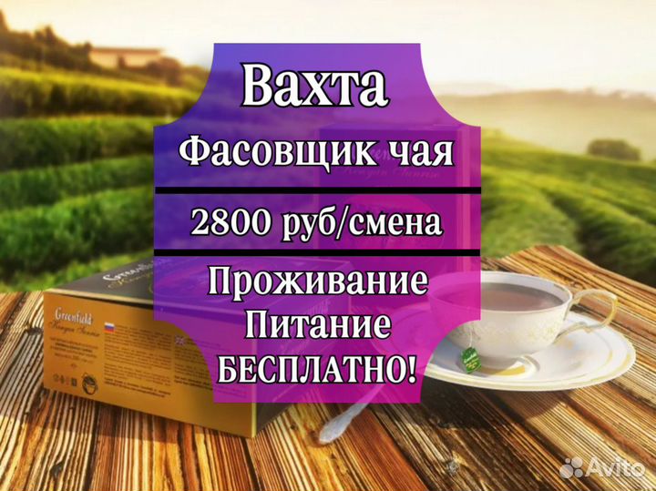 Вахта 15/15, 20/15, 30/15 в Москве - Фасовщик чая