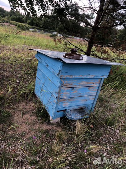 Улей с пчёлами