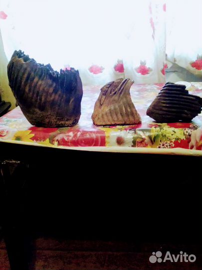 Зуб мамонта