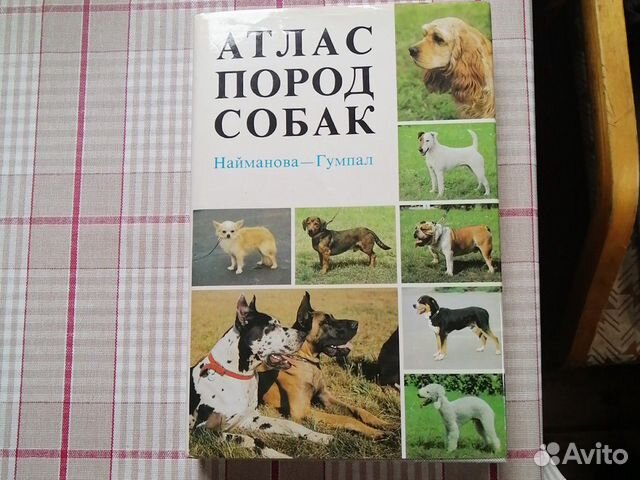 Атлас пород собак. Атлас пород собак Найманова. Атлас пород собак книга. Атлас пород собак желтый. Книга малый атлас пород собак.