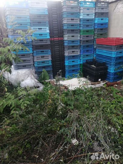 Пластиковые ящики бу
